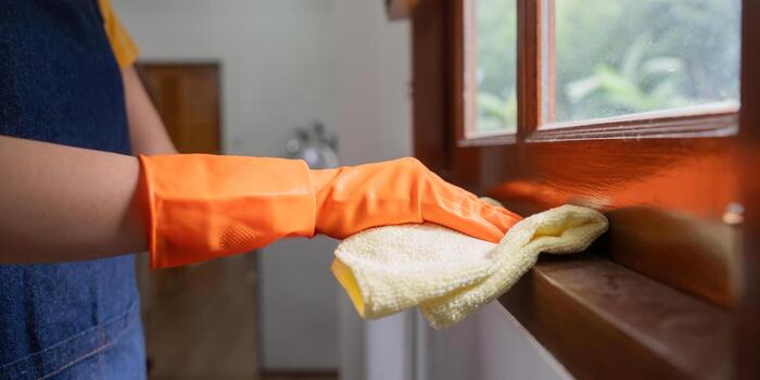 Deep Cleaning (up to 3 Hours)